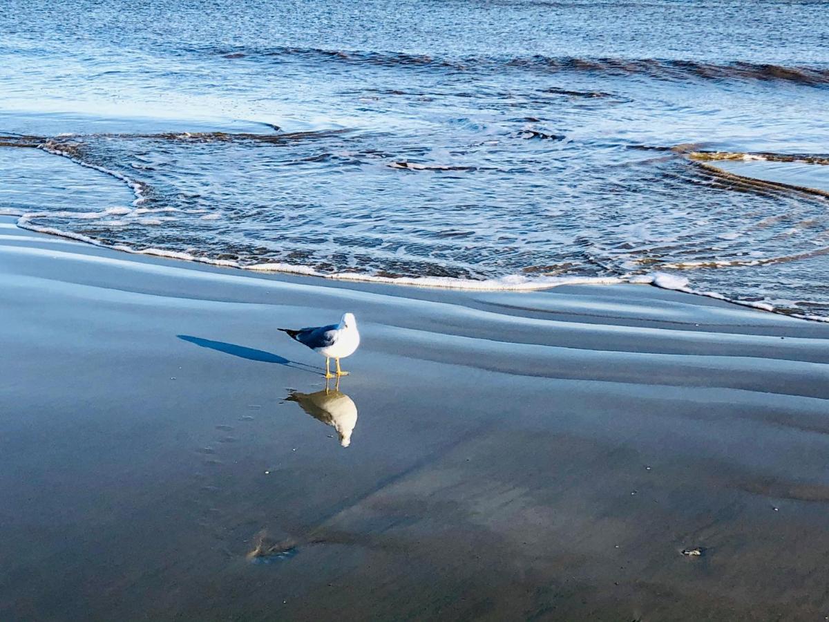 Salty Breeze At Demere Landing Unit 168 - Salt Air Dr Villa St. Simons Island Dış mekan fotoğraf